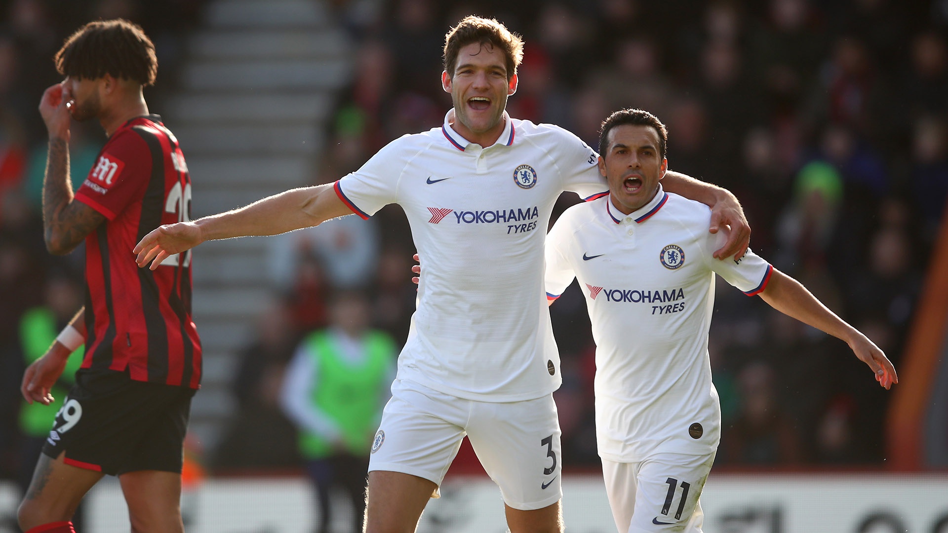 今年的五大 今年的五大